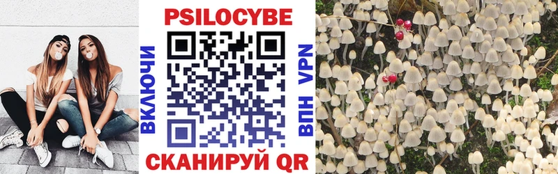 Псилоцибиновые грибы Cubensis  где купить   Касли 